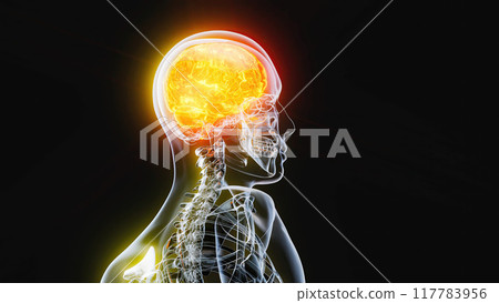 Abstract art of the brain Abstract art of the brain 117783956