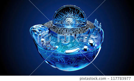Abstract illustration of the biological cell 117783977