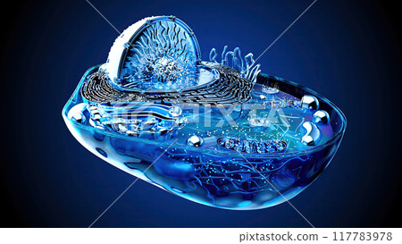 Abstract illustration of the biological cell 117783978