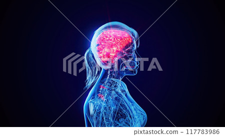 Abstract woman walking with the brain highlighted Abstract woman walking with the brain highlighted 117783986