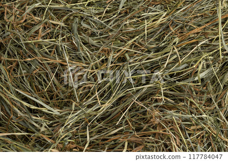 Dehydrated Dried Grass for hay production in agriculture Dehydrated Dried Grass for hay production in agriculture 117784047