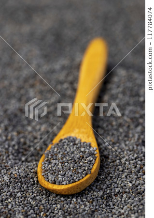 scattered poppy seeds for cooking scattered poppy seeds for cooking 117784074