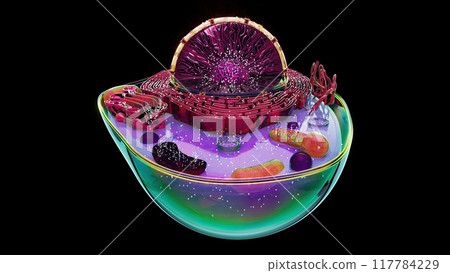 Abstract illustration of the biological cell 117784229
