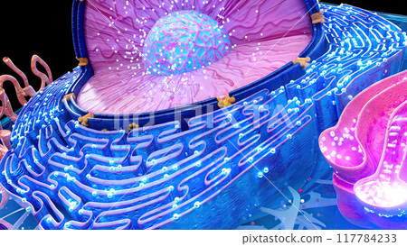 Abstract illustration of the biological cell 117784233