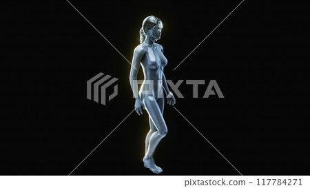 3D anatomical model of a woman with an Eye 3D anatomical model of a woman with an Eye 117784271