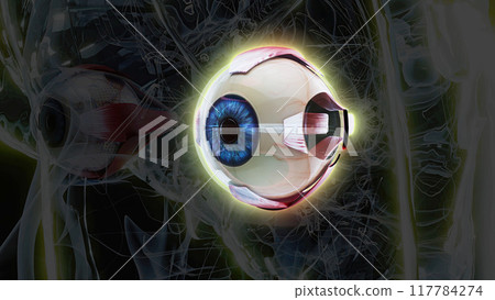 3D anatomical model of a woman with an Eye 3D anatomical model of a woman with an Eye 117784274
