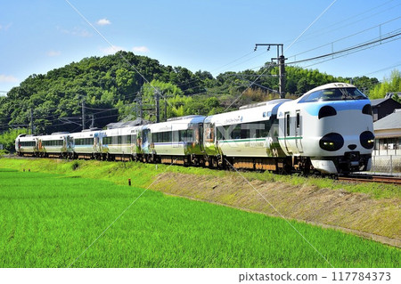 287 Series Panda Kuroshio⑤ 117784373