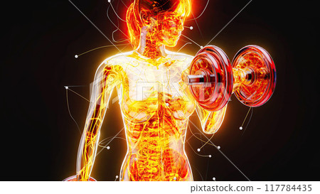 Abstract illustration of a woman with weights Abstract illustration of a woman with weights 117784435