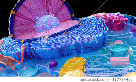 Abstract 3D illustration of the cell and the reticulum Abstract 3D illustration of the cell and the reticulum 117784453