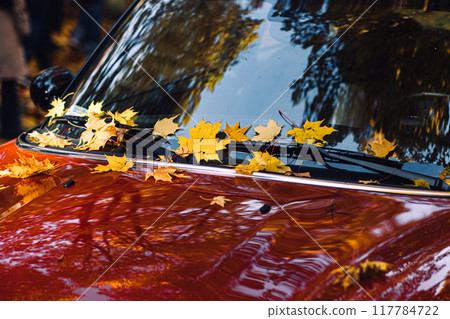 Yellow autumn leaves on red car hood and windshield. Fall season, automotive photography, reflections, seasonal change, outdoor nature, car maintenance concept. 117784722