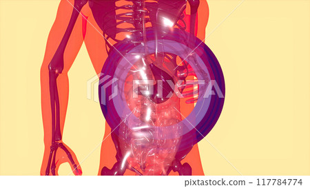 Abstract motion design of the stomach 117784774