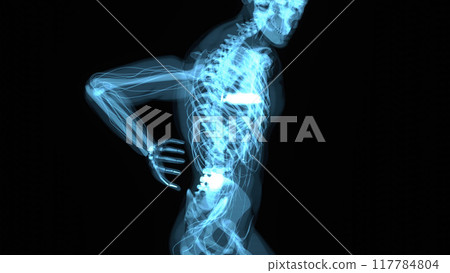 Anatomy concept of a man with back pain Anatomy concept of a man with back pain 117784804