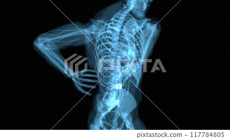Anatomy concept of a man with back pain 117784805