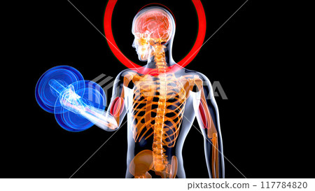 Abstract illustration of a man with weights 117784820