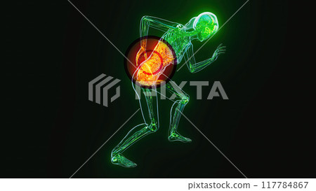 Anatomy concept of a woman with back pain 117784867