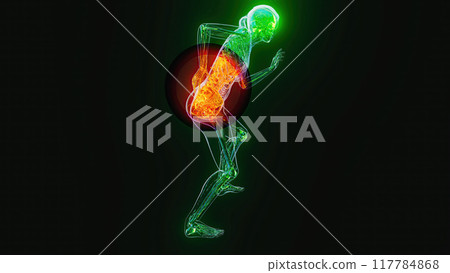 Anatomy concept of a woman with back pain 117784868