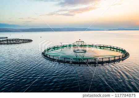 Fish farm at sunrise with circular nets in calm waters and distant mountains in the background. Fish farm at sunrise with circular nets in calm waters and distant mountains in the background. 117784875
