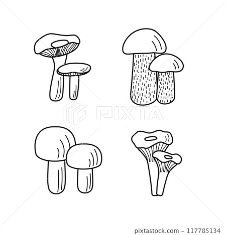 Set of mushroom icons vector. Illustration of boletus, chanterelles, honey mushrooms, champignons, aspen mushroom and russula. Set of mushroom icons vector. Illustration of boletus, chanterelles, honey mushrooms, champignons, aspen mushroom and russula. 117785134