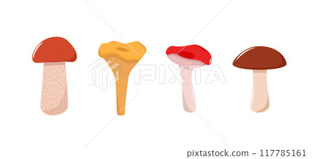 Set of mushroom icons vector. Illustration of boletus, chanterelles, honey mushrooms, aspen mushroom and russula. 117785161
