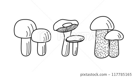 Set of mushroom icons vector. Illustration of boletus, chanterelles, honey mushrooms, champignons, aspen mushroom and russula. 117785165