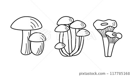 Set of mushroom icons vector. Illustration of boletus, chanterelles, honey mushrooms, champignons, aspen mushroom and russula. 117785168