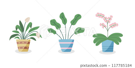 Cartoon flowers in pots. Vector illustration of indoor plants for the interior. 117785184