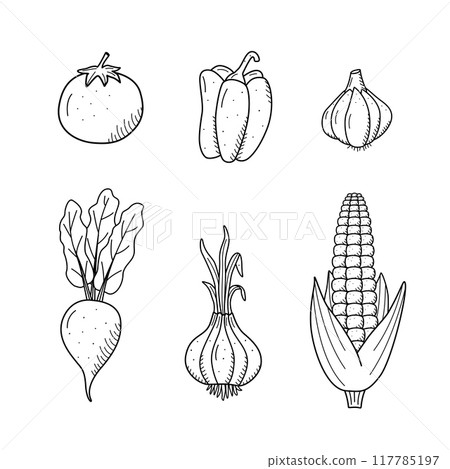 Collection of drawing vegetables in doodle style. A set of vector illustrations of the vegetable harvest 117785197