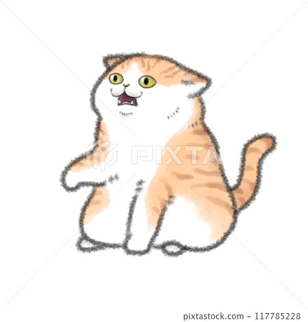 弗萊門反應貓 117785228