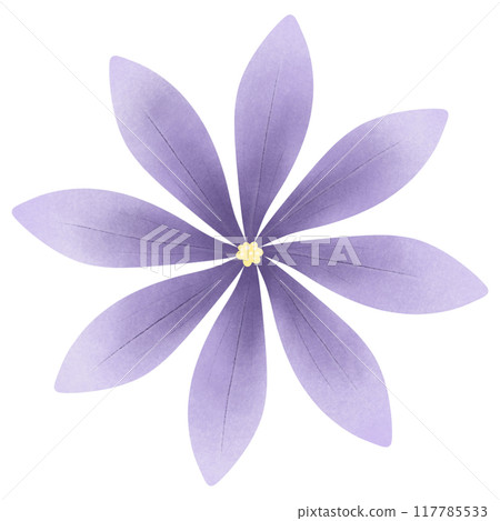Cute Flower hand draw In Flat Design spring beautiful flowers set of flower illustration purple flower Cute Flower hand draw In Flat Design spring beautiful flowers set of flower illustration purple flower 117785533