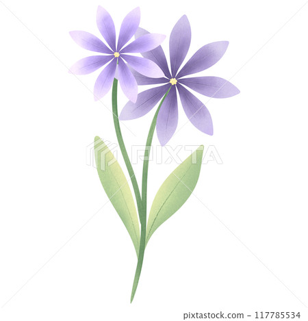 Cute Flower hand draw In Flat Design spring beautiful flowers set of flower illustration purple flower Cute Flower hand draw In Flat Design spring beautiful flowers set of flower illustration purple flower 117785534