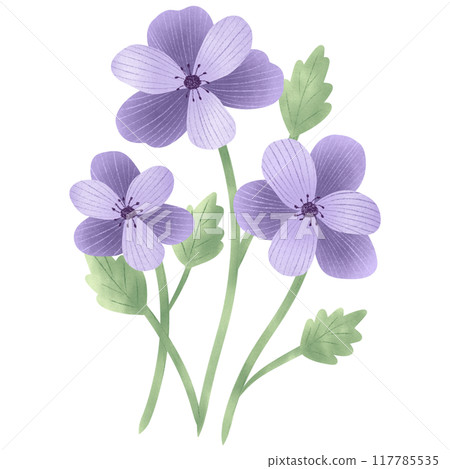 Cute Flower hand draw In Flat Design spring beautiful flowers set of flower illustration purple flower Cute Flower hand draw In Flat Design spring beautiful flowers set of flower illustration purple flower 117785535