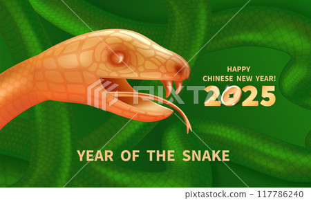 2025 Year of the Snake 26 2025 Year of the Snake 26 117786240