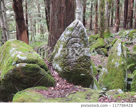 五星級主頁 五星級主頁 117786428