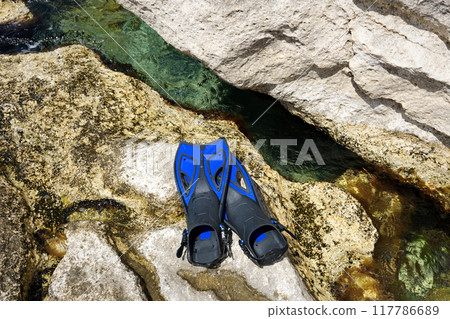 Flippers on the shore. Flippers on the shore. 117786689