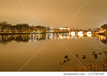 River and ducks in Boston and Cambridge 117787385