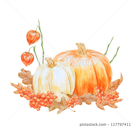 White and orange pumpkins, rowan berries, physalis, dry brown leaves illustration. Hand drawn watercolor isolated clip art with fall vegetables and plants for banner template, halloween print, packing 117787411