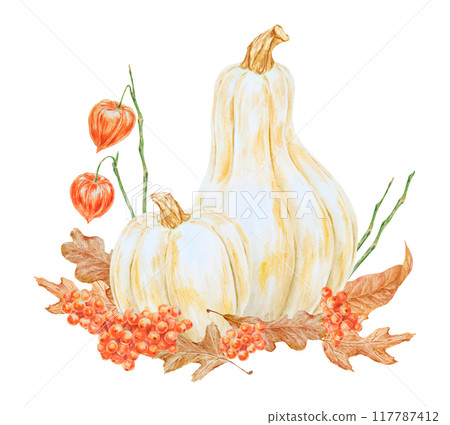 White pumpkins, rowan berries, physalis, dry brown leaves illustration. Hand drawn watercolor isolated clip art with fall vegetables and plants for banner template, halloween print, farm goods packing 117787412