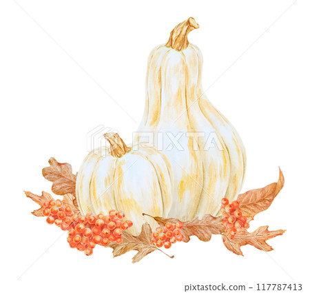 White pumpkins, rowan berries, dry brown leaves illustration. Hand drawn watercolor isolated clip art with fall vegetables and plants for banner template, halloween prints, farm goods packing 117787413