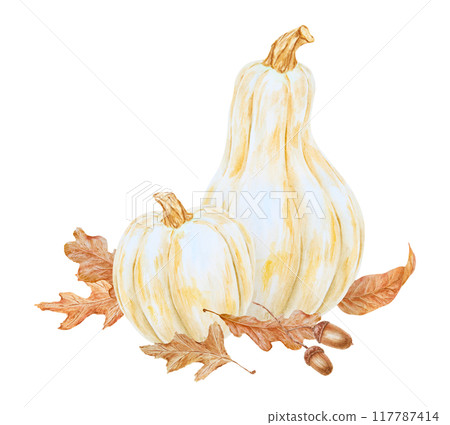 White pumpkins, acorn, dry brown leaves illustration. Hand drawn watercolor isolated clip art with fall vegetables and plants for banner template, halloween prints, farm goods packing White pumpkins, acorn, dry brown leaves illustration. Hand drawn watercolor isolated clip art with fall vegetables and plants for banner template, halloween prints, farm goods packing 117787414
