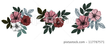 Vector rosehip flowers in various shades of pink with green leaves. Perfect for botanical art, floral designs, or natural-themed products. Elegant, detailed, and hand-drawn style 117787571