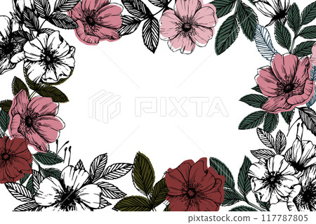 Vector rosehip flowers frame in various shades of pink with green leaves for botanical art, floral designs, or natural-themed products. Elegant, detailed, and hand-drawn style template 117787805
