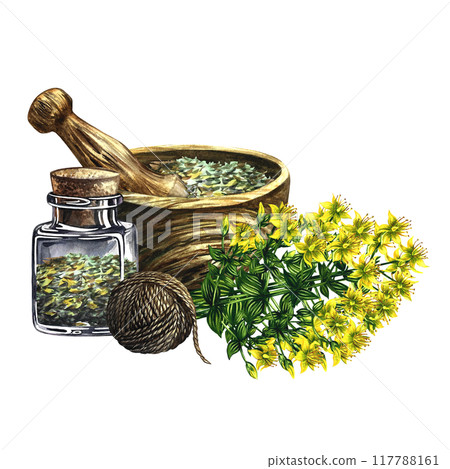 Dried, crushed medicinal herb of St. John's wort perforated in a wooden mortar. A medicinal bottle and a bouquet of St. John's wort. Handmade watercolor illustration. Medicinal herbs. For packaging. 117788161