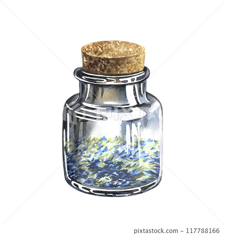 Vintage glass bottle with dried herbs. The illustration is watercolor, hand-drawn. Healthy tea, spices or medicinal herbs. For packaging, label, menu or recipe design. 117788166
