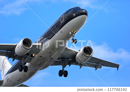 客機起降畫面 客機起降畫面 117788192