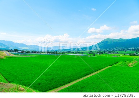 Countryside image: Rural scenery of Aso Countryside image: Rural scenery of Aso 117788383