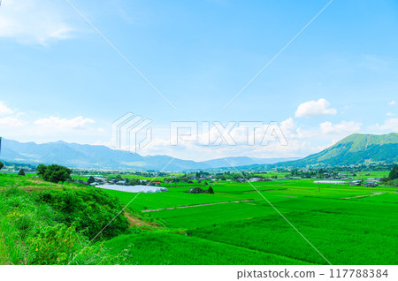 Countryside image: Rural scenery of Aso 117788384