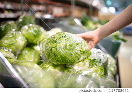 Woman's hands choosing lettuce 117788651