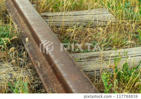 Old abandoned, unused railway line is falling into oblivion. Due to lack of maintenance, driving, the embankment is overgrown with wild grass, the sleepers are turning into dust, rails are corroding. Old abandoned, unused railway line is falling into oblivion. Due to lack of maintenance, driving, the embankment is overgrown with wild grass, the sleepers are turning into dust, rails are corroding. 117788839