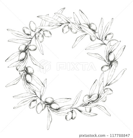 Circular wreath of olive branches with detailed olives and leaves, creating a natural frame. Pencil drawing clipart for use in product packaging for olive oils, artisanal soaps, and organic cosmetics 117788847
