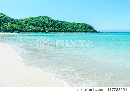 The beautiful blue sea of Tanegashima The beautiful blue sea of Tanegashima 117788964